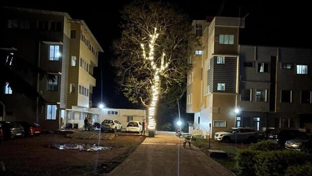 Un chemin menant à un immeuble à étages, entouré de voitures garées et d’un arbre décoré de guirlandes lumineuses.