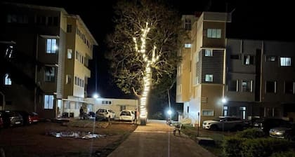 Naksha Tree Hotels - Yelagiri