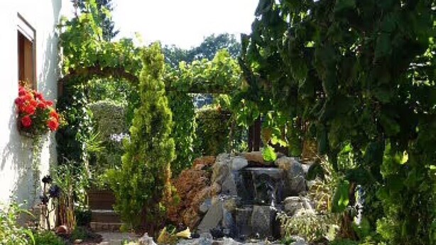 A garden with a stone pathway, a small waterfall, and various plants. - Apartment 'Wassergartenparadies' with Shared Terrace, Shared Garden and Wi-Fi (Harsdorf)