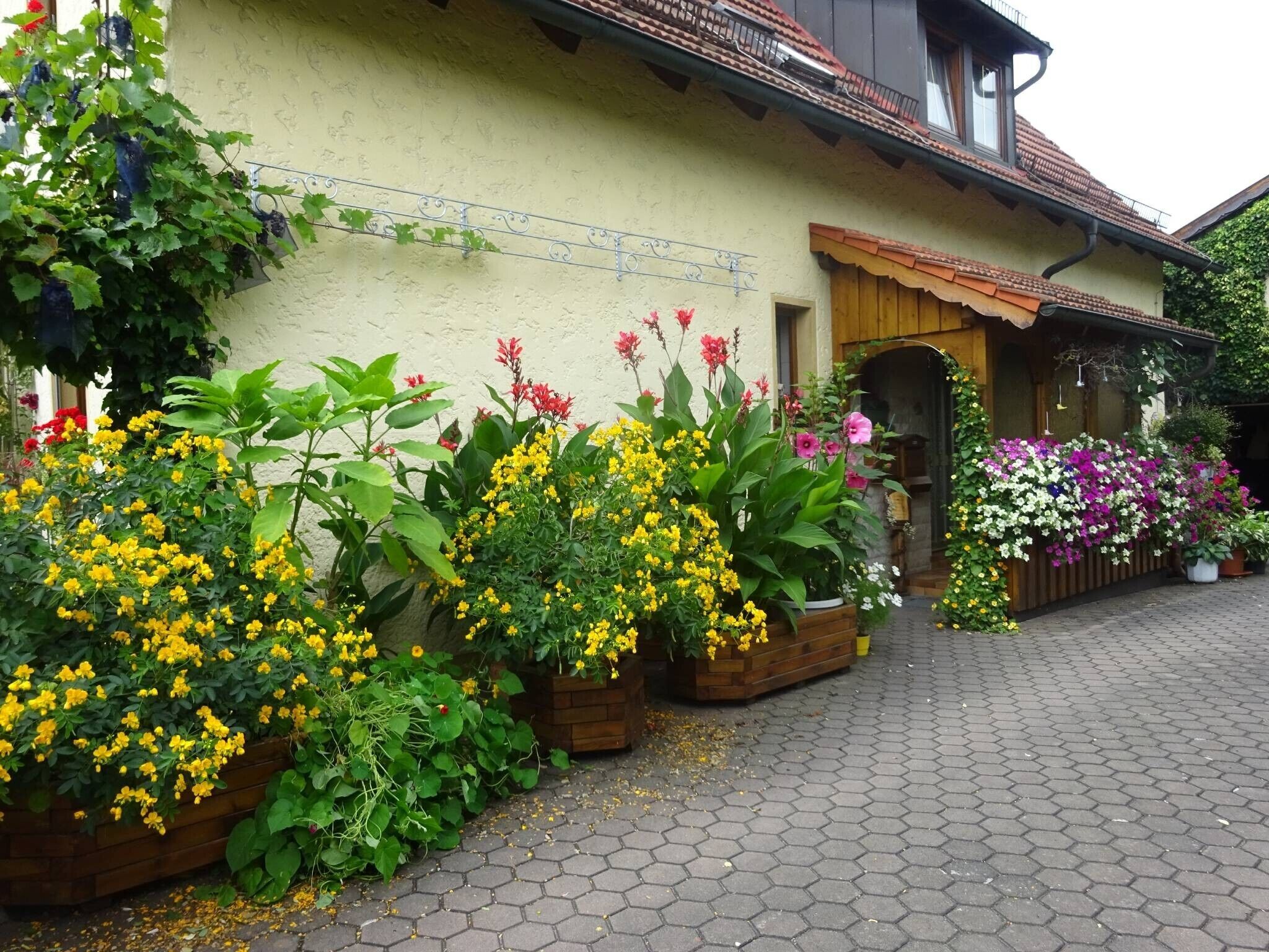 Áreas de la propiedad