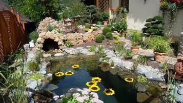 A garden with a pond, rocks, and potted plants.