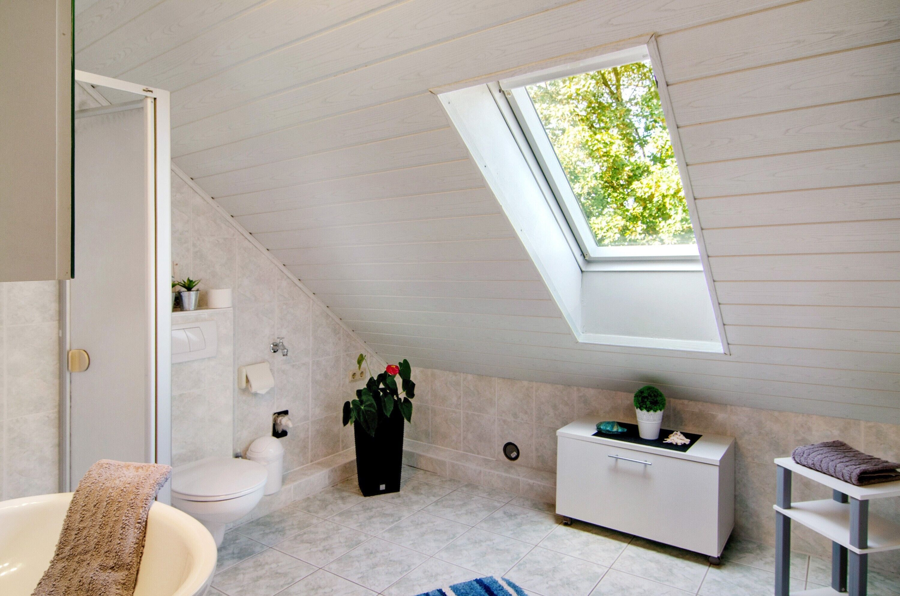 Shower, towels