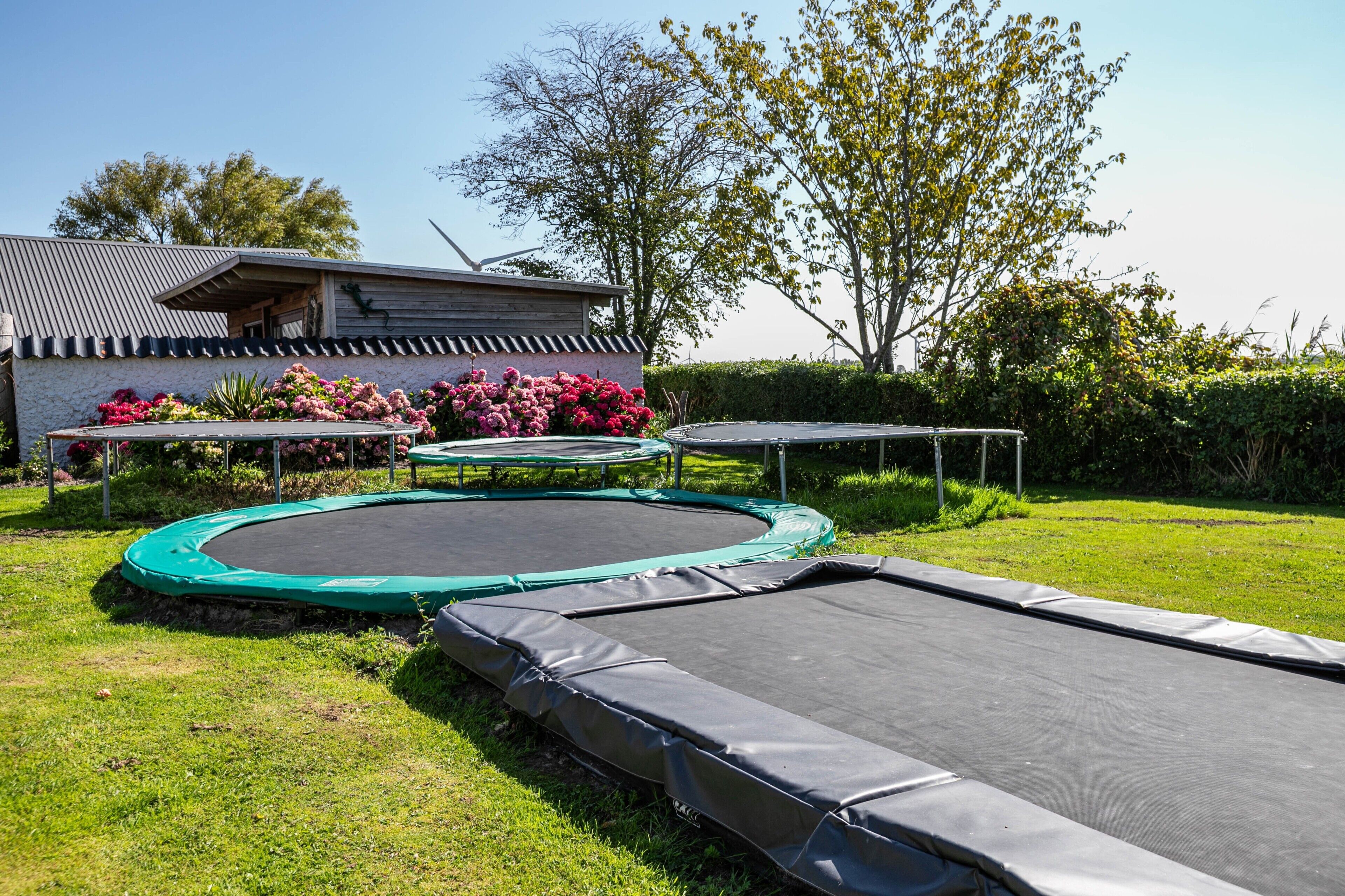 A residential area with two trampolines, a house, and a garden with flowering plants.