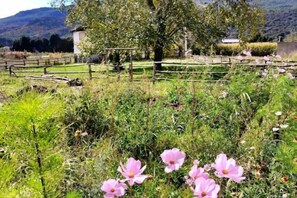 Property grounds - Lijiang Juxian Hotel (Lijiang)