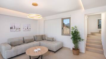 Smart TV, table tennis, books, stereo