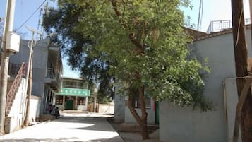 A narrow street with a tree, buildings, and a sign.