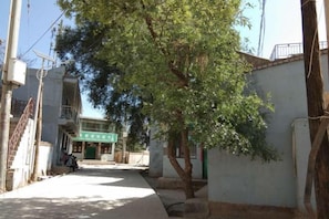 A narrow street with a tree, buildings, and a sign. - Xinyuan Hostel (Jingtai)