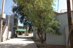 Una calle estrecha con un árbol, edificios y una señal.