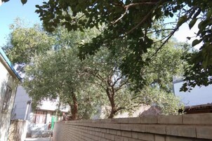 Un muro de ladrillo con árboles al fondo.