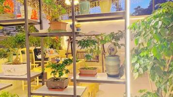 A plant display with various potted plants on shelves and tables.