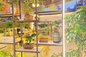 A plant display with various potted plants on shelves and tables.