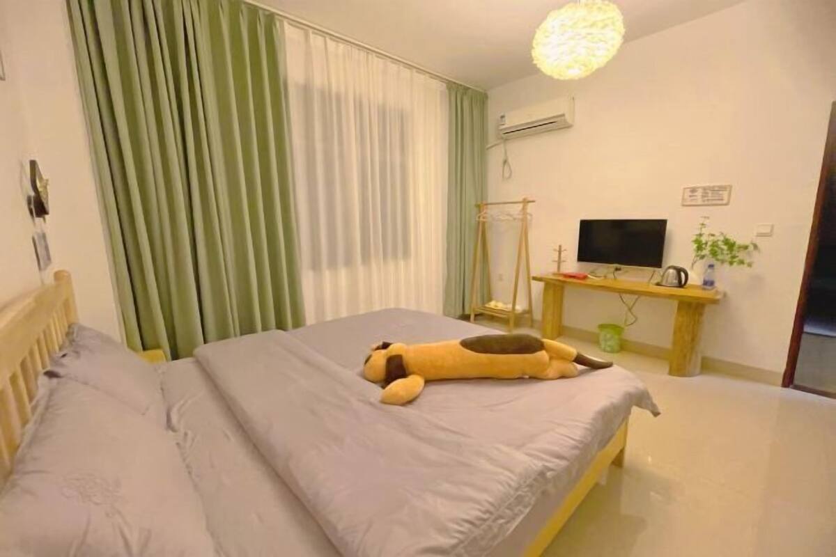 A room with a bed, a television, a desk, and a hanging plant.