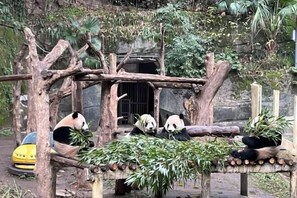 Uitzicht vanuit accommodatie