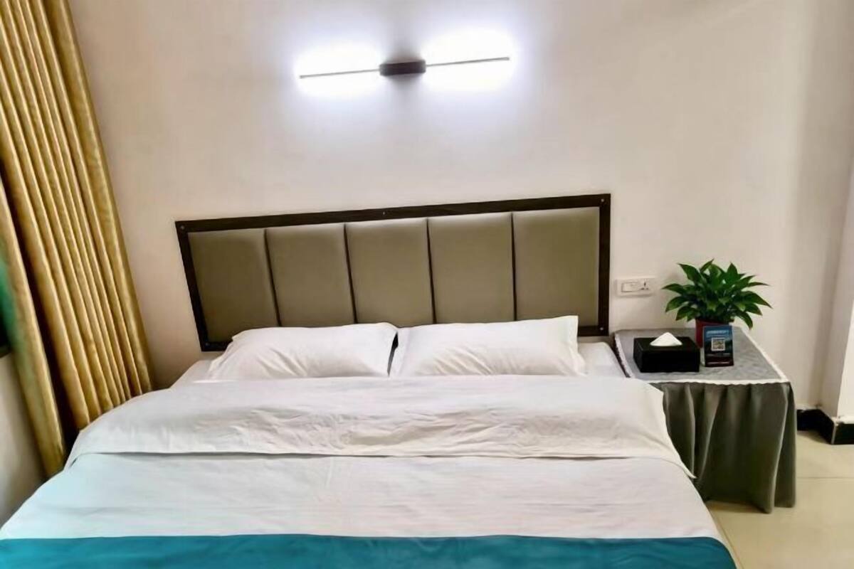 A hotel room with a bed, a bedside table with a plant, and a wall-mounted light fixture.