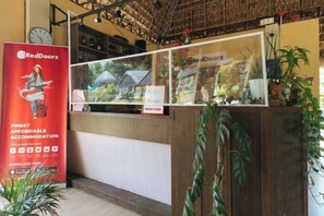 Lobby - Reddoorz @ Afamosa Villas Resort Ilocos Sur (San Juan)