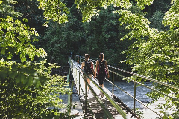 A wooden bridge over a river surrounded by dense green foliage. - Relaxed Urban Living  (Dornbirn)