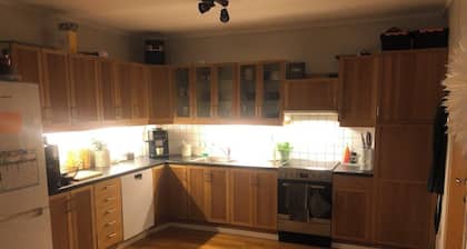 3-bedroom apartment in beautiful Vestfold with AC, WiFi, fitness room