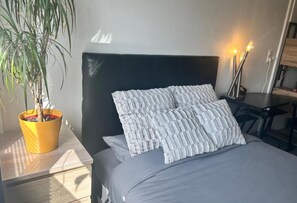 Työpöytä, silitysrauta/-lauta, ilmainen Wi-Fi, vuodevaatteet