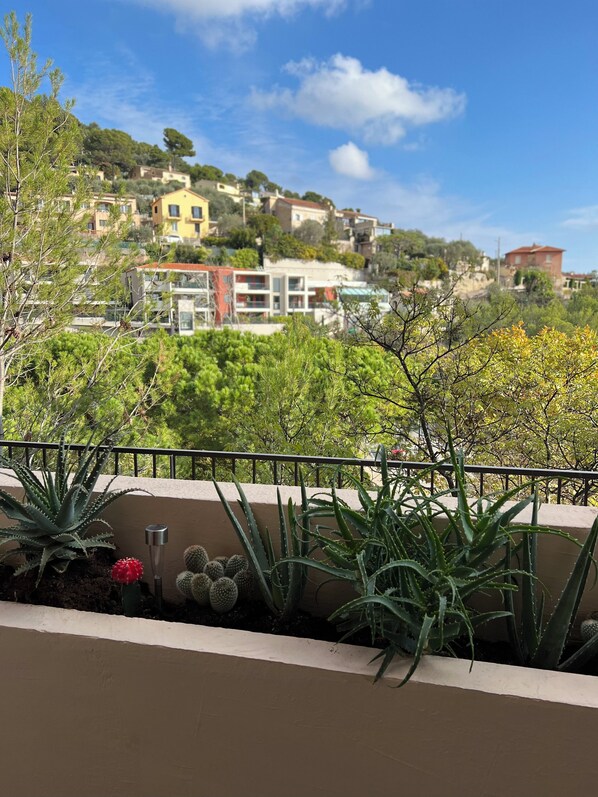 Property grounds - EZE ROC MONACO (Èze)