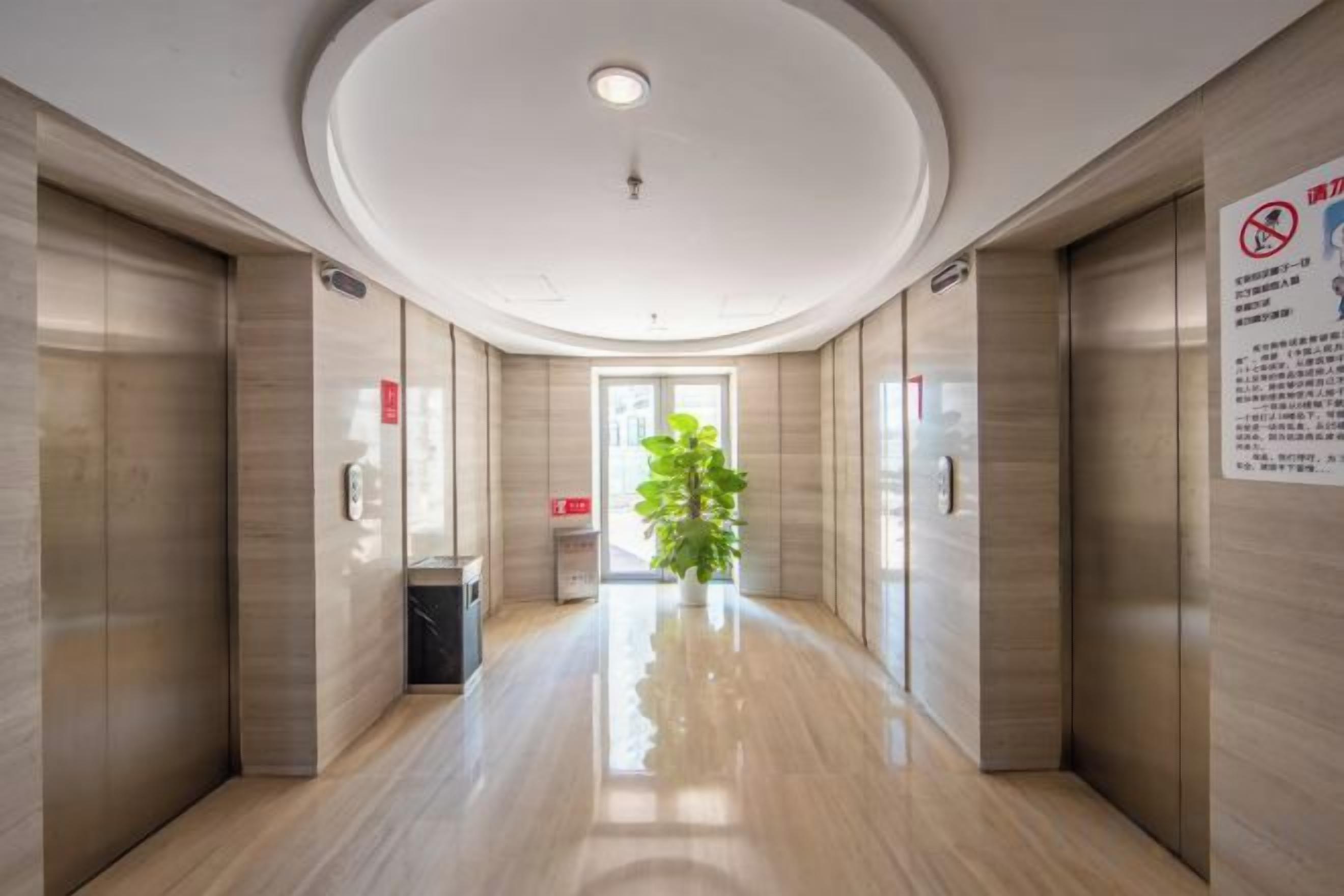 A hallway with elevators, a trash bin, and a potted plant.
