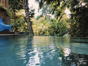 A clear pool surrounded by lush greenery, with a palm tree and a blue chair visible. - Ngesil Private Joglo and Pool (Ubud)