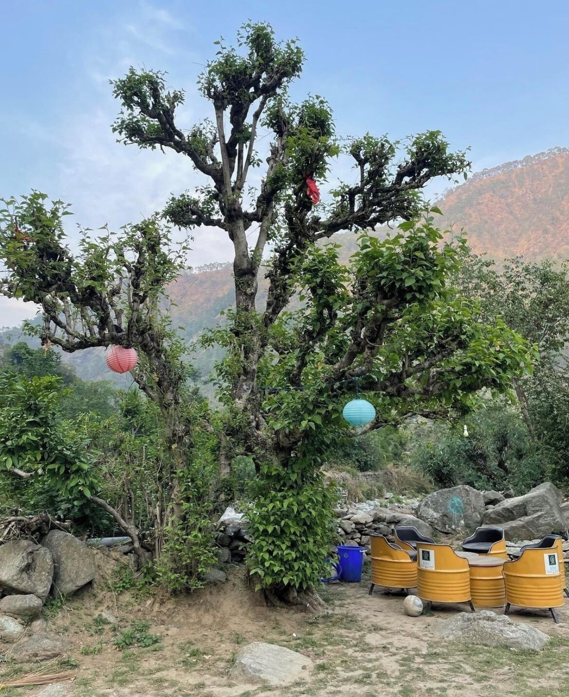 Áreas de la propiedad