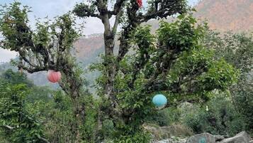 Áreas de la propiedad