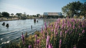 Pool - Cosy Beach House in Family Park (Ouddorp)