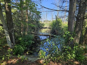 Pool - Exclusive Private Lake Huron-front Sanctuary Engulfed by 8 Mile-long Sandy Beach (Black River)