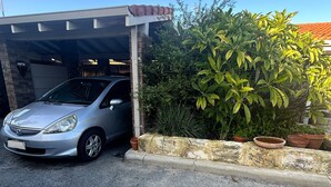 Ein silbernes Auto steht in einer Garage mit Backsteinwand und Topfpflanzen.