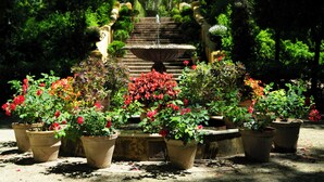 Un jardín con una fuente, plantas en macetas y una escalera de piedra que sube hacia un edificio.