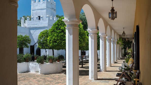 Un patio con columnas blancas, plantas en macetas y un edificio con una torre al fondo.