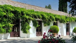Un edificio con paredes blancas y techo de tejas, cubierto de hiedra verde, y una planta en maceta con flores rosadas en primer plano.
