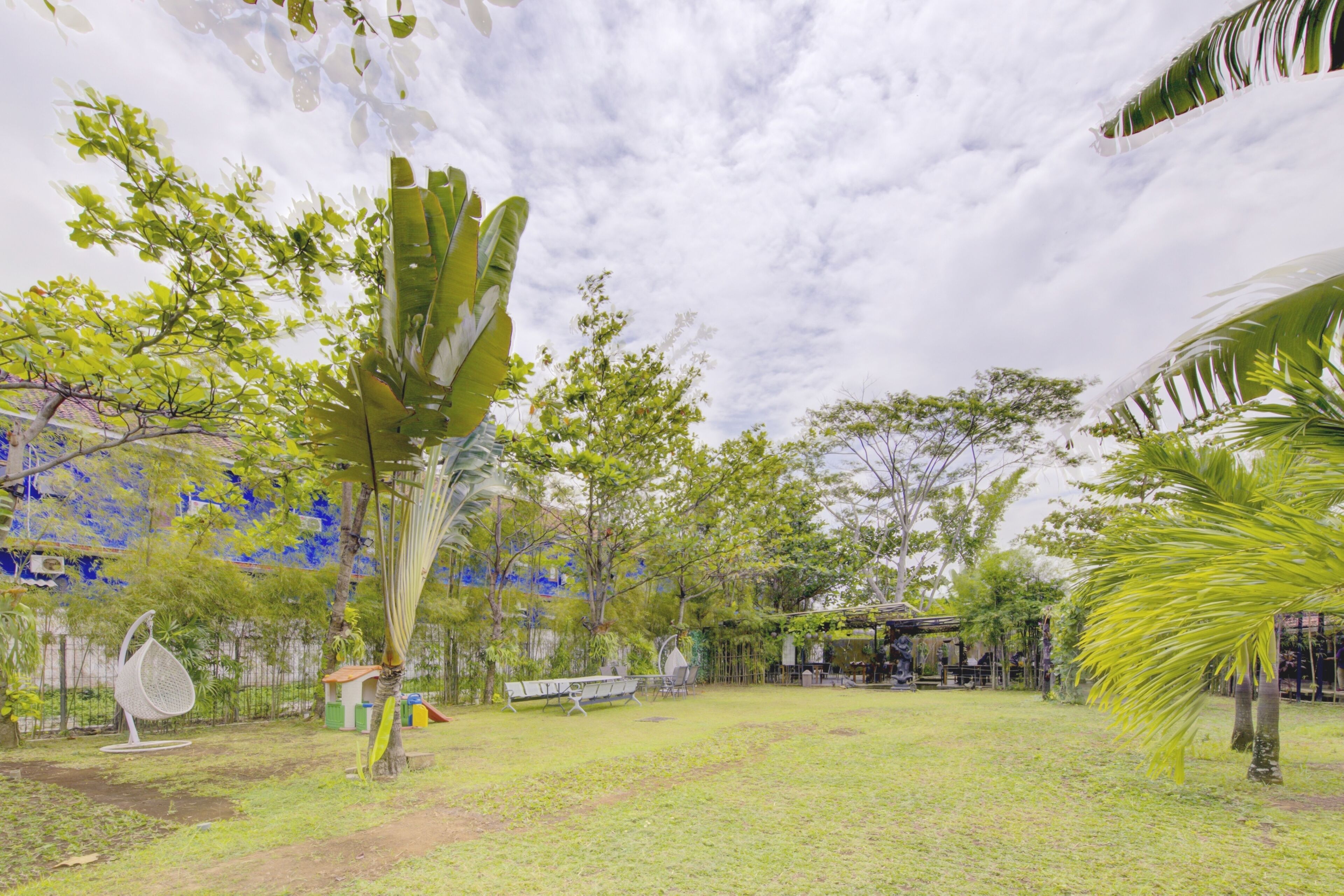 A spacious outdoor area with a grassy lawn, a large banana tree, and a palm tree.