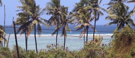 Beach/ocean view