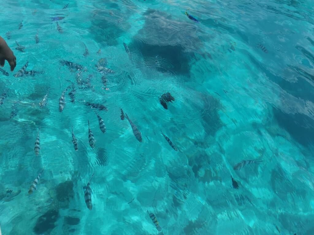 A pool with clear water and visible underwater objects.
