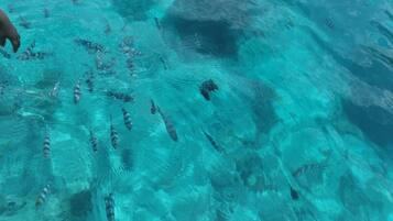 A pool with clear water and visible underwater objects.