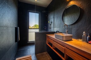 Shower, hair dryer, towels