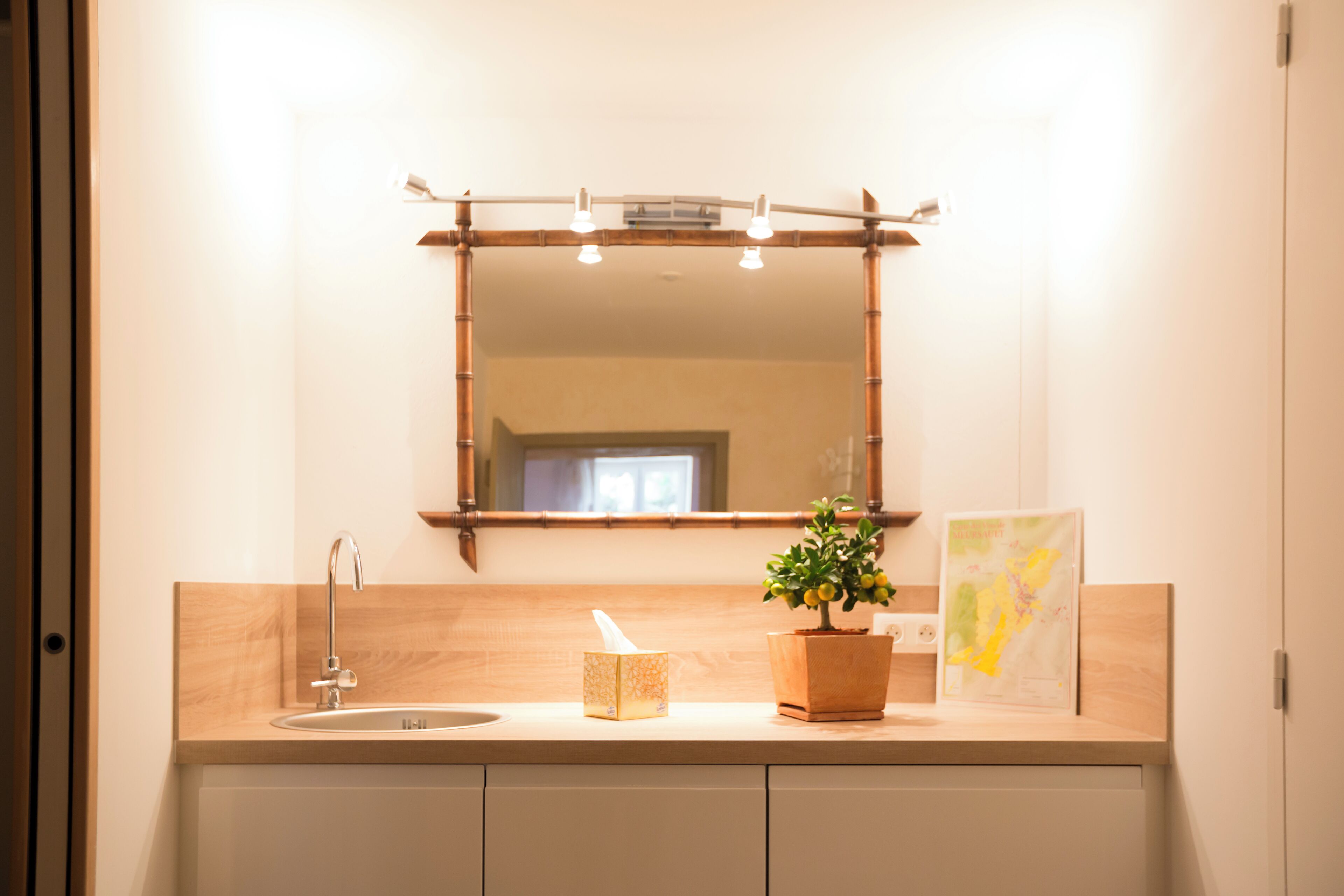 A bathroom with a wooden vanity, a mirror, a sink, a potted plant, and a tissue box.