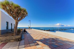Un paseo marítimo con una palmera, un banco y vistas al mar.