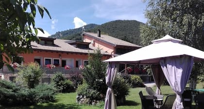 Hotel Cocoon