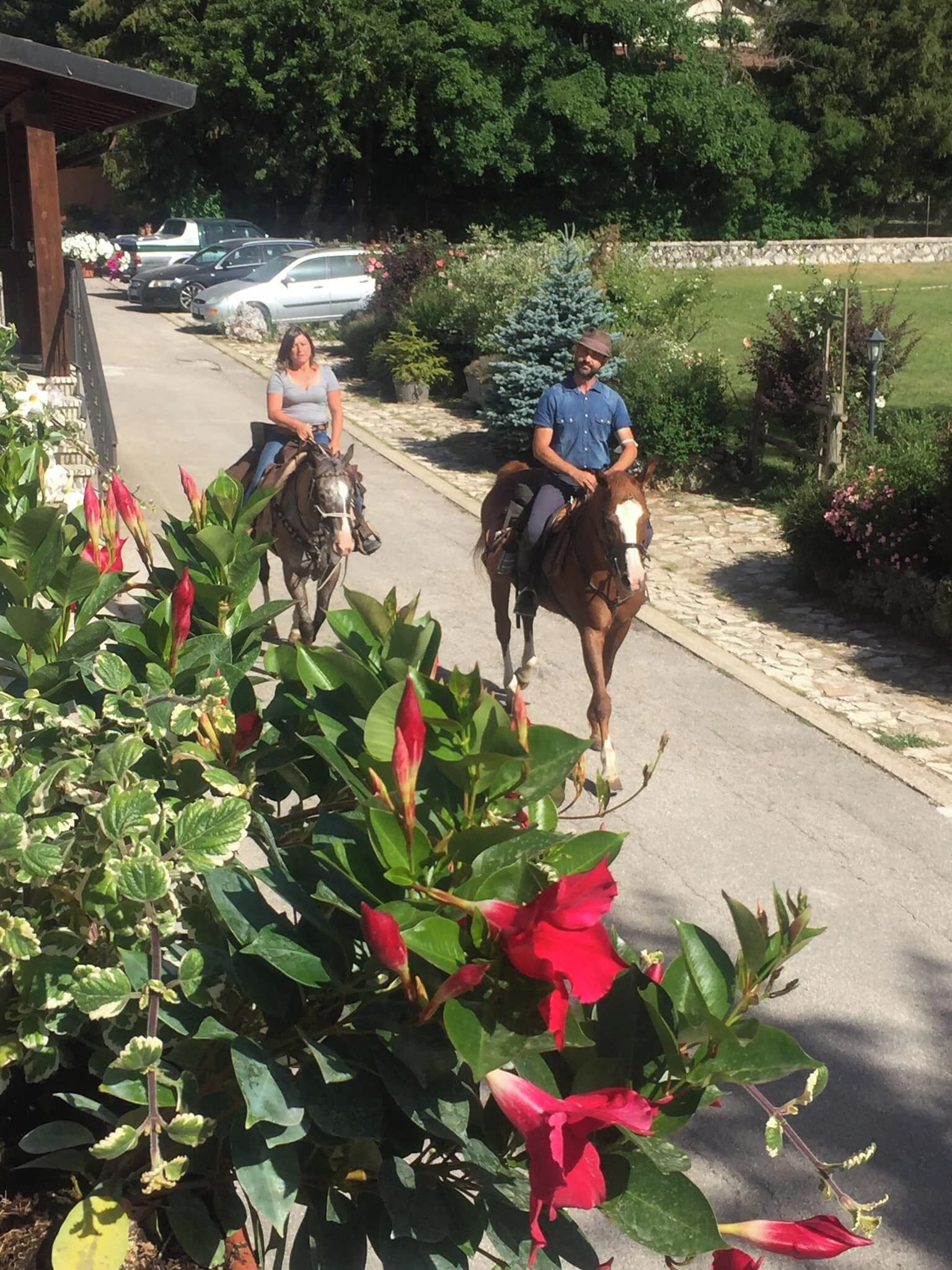 A paved pathway with two people riding horses, surrounded by lush greenery and flowering plants.