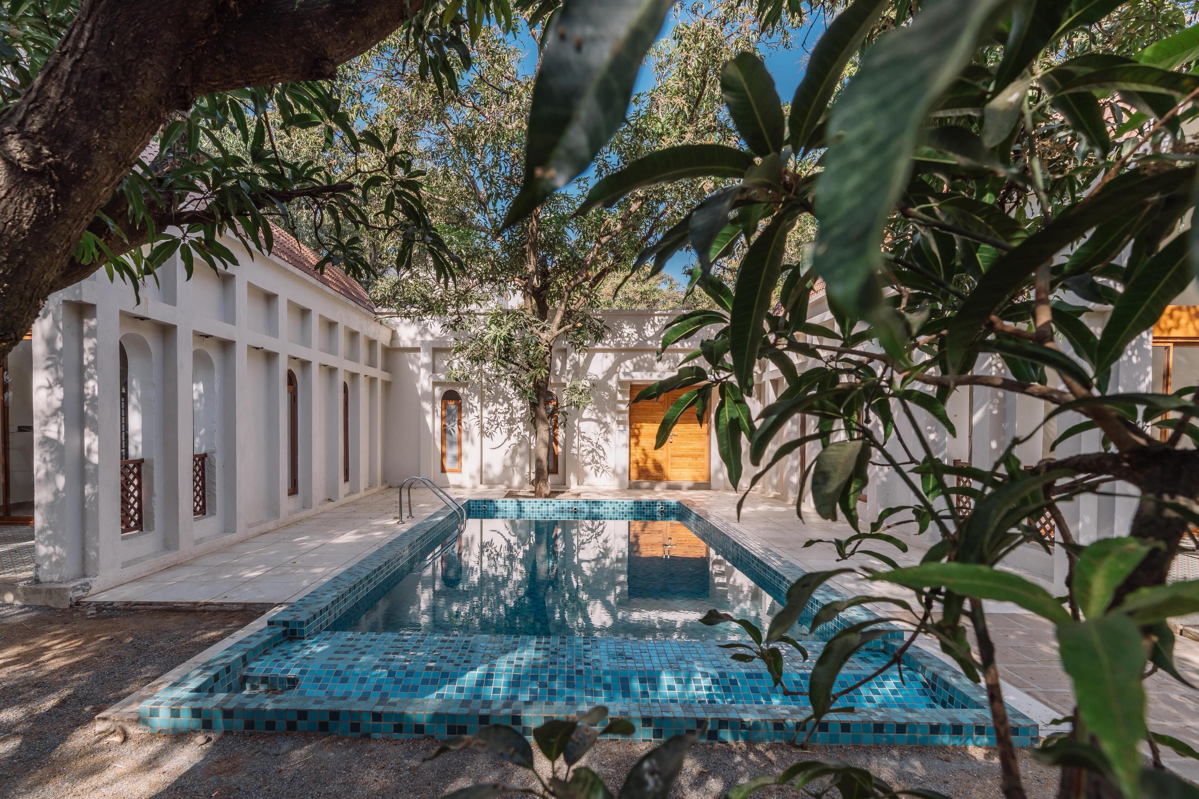 Une piscine aux carreaux de mosaïque bleus, entourée de murs blancs et d’arbres.