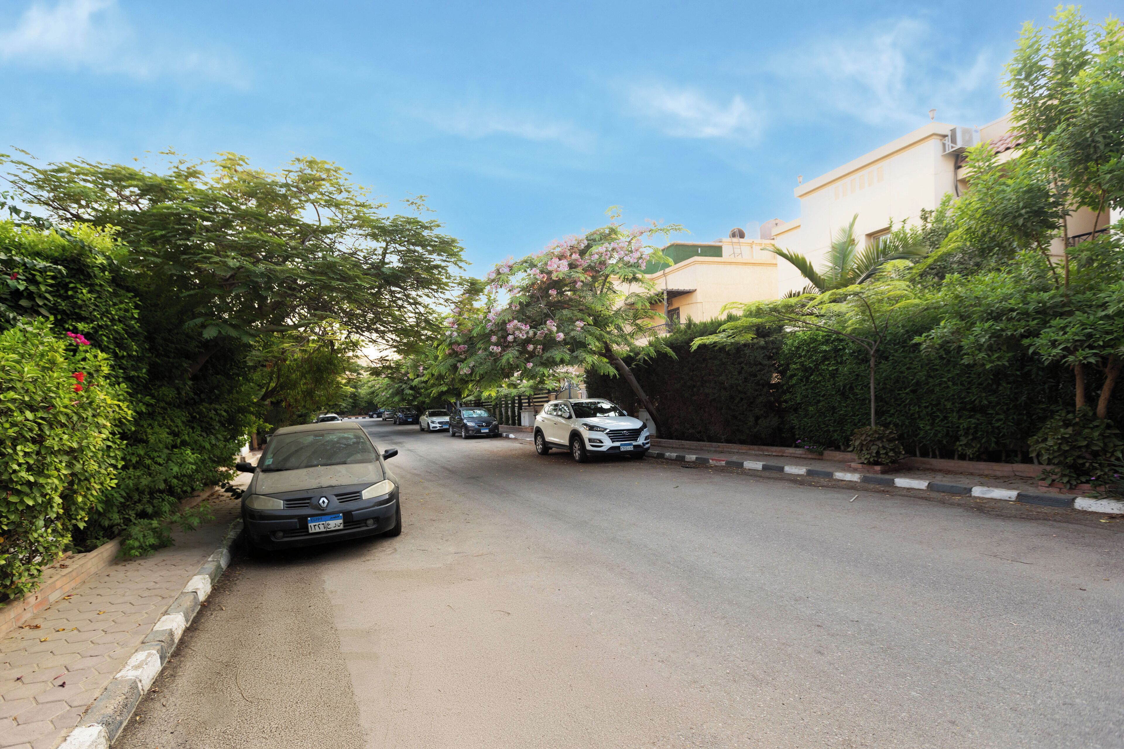 A residential street lined with parked cars and lush greenery.