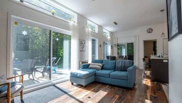 Télévision, cheminée, chaßne hi-fi