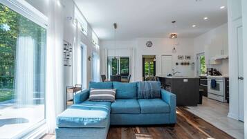 Télévision, cheminée, chaßne hi-fi