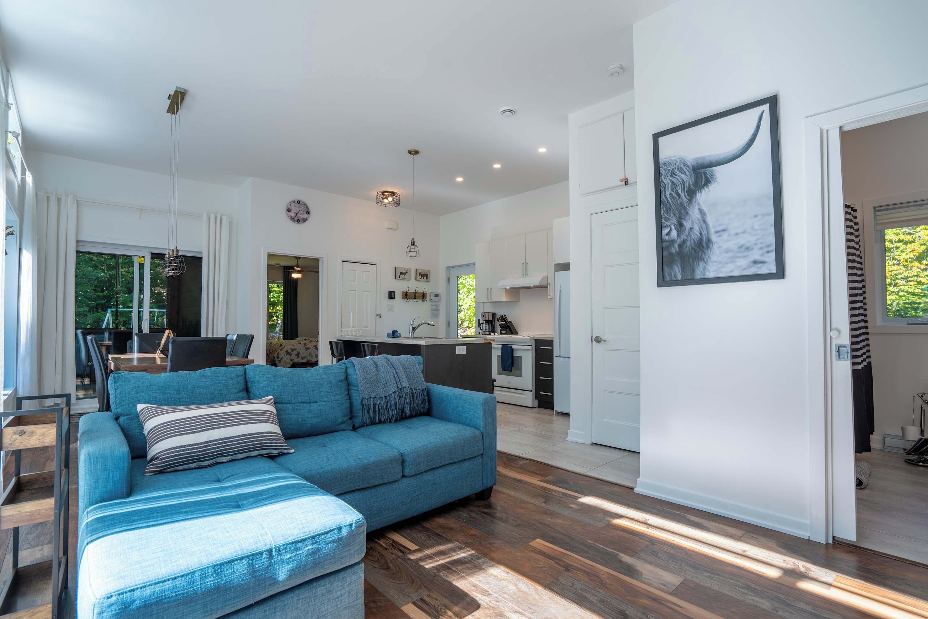 TV, fireplace, stereo