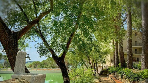 Un sendero bordeado de árboles y un banco de piedra, que conduce a un edificio con una escalera de piedra.