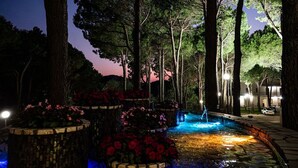 Un espacio al aire libre nocturno con fuente de agua, árboles y arreglos florales iluminados.