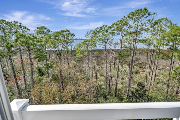 A view of a coastal landscape with pine trees and a distant bridge.